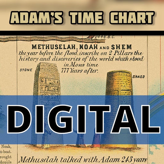 Adams Time Chart (Digital)