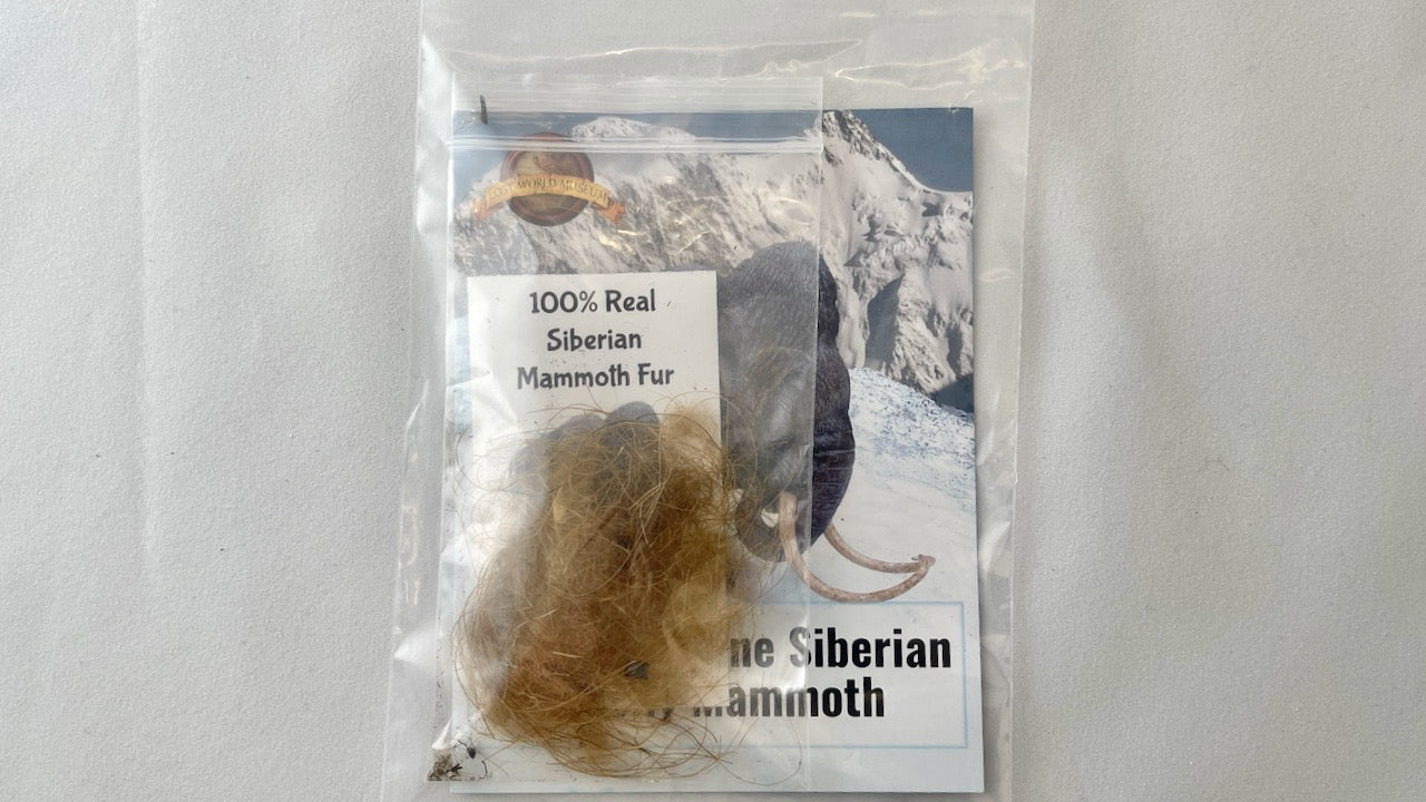 Mammoth Hair (Fur) - Authentic Siberian
