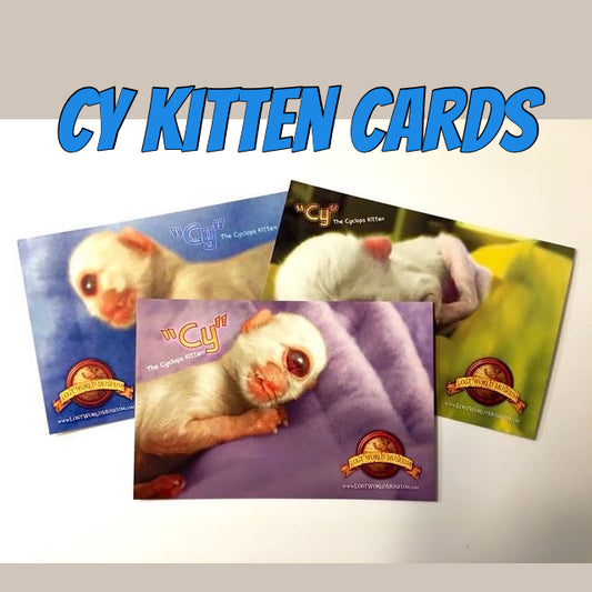 Cy Kitten Postcards